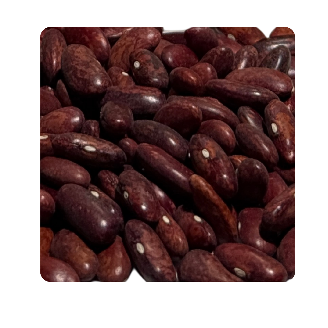 Thiya Kapkot Rajma | Bold & Nutritious | Himalayan Kidney Beans | Uttarakhand