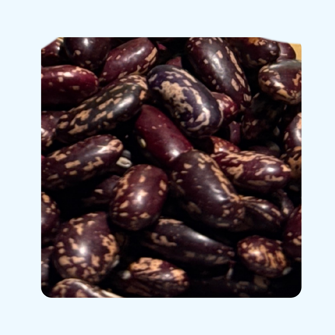 Thiya Joshimath Rajma | Premium High-Altitude Kidney Beans | Himalayan Pulses | Uttarakhand