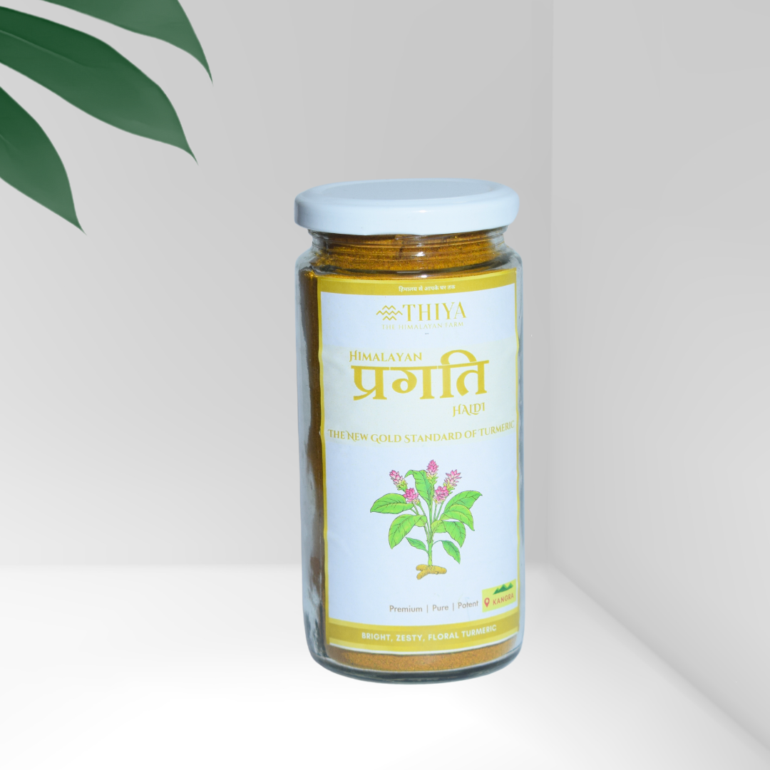 Himalayan Pragati Haldi | Kangra's Finest | Pragati Haldi | Premium Quality