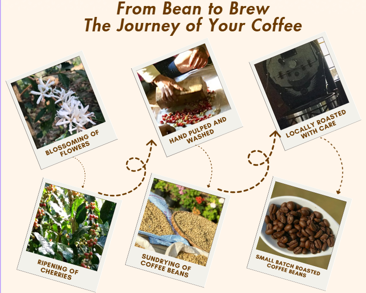 Thiya's Himalayan Coffee | Sikkim's Finest | Premium Arabica Coffee | Medium Grind