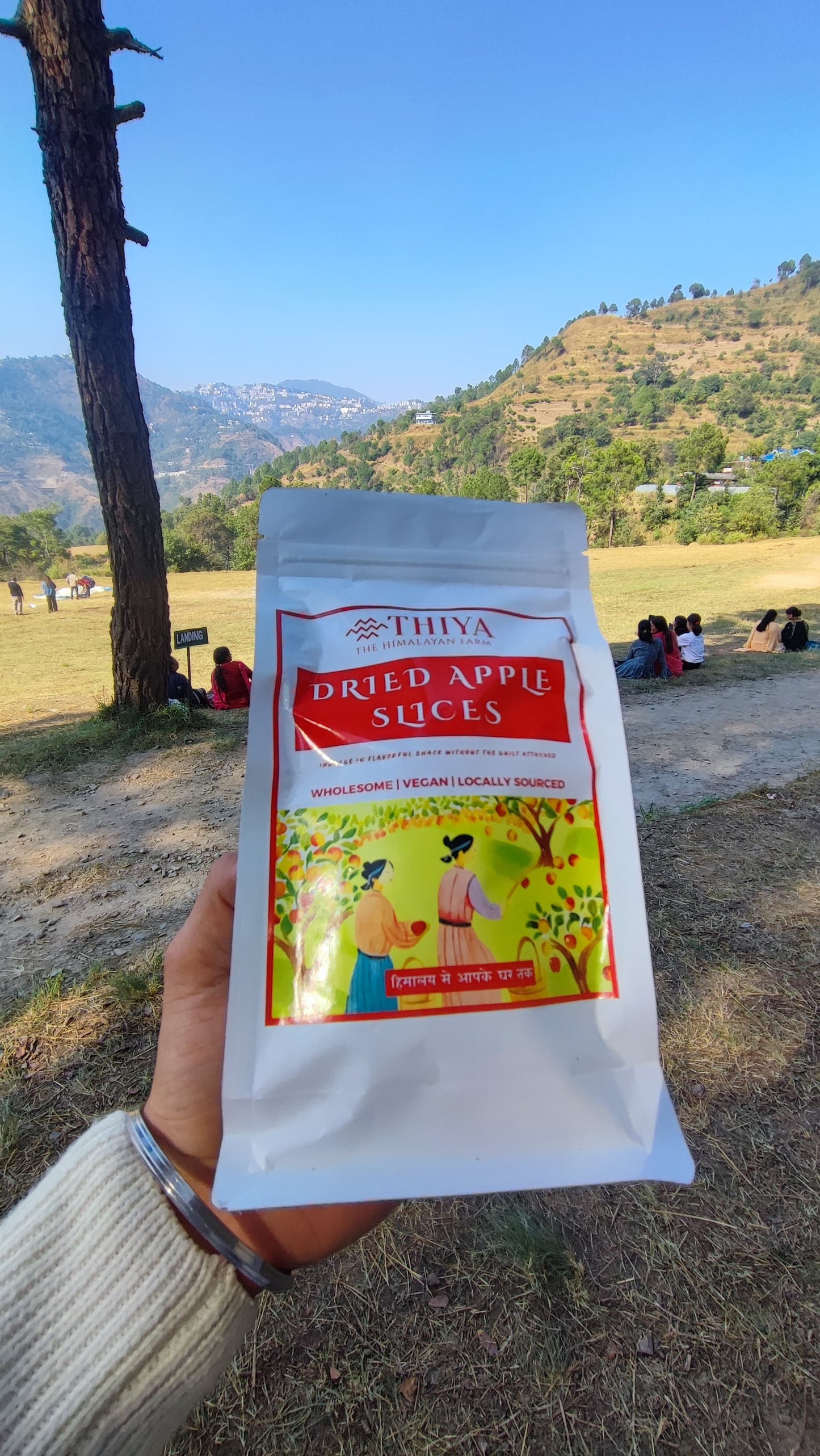 Shimla Dried Apple Slices | Shimla's Finest |  Dried Apple Slices | 100g