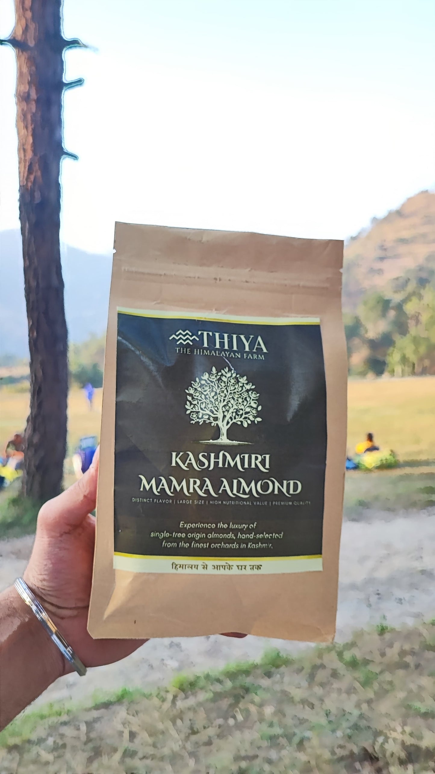 Kashmiri Mamra Almonds | Kashmir's Finest | Mamra Almonds | 500g
