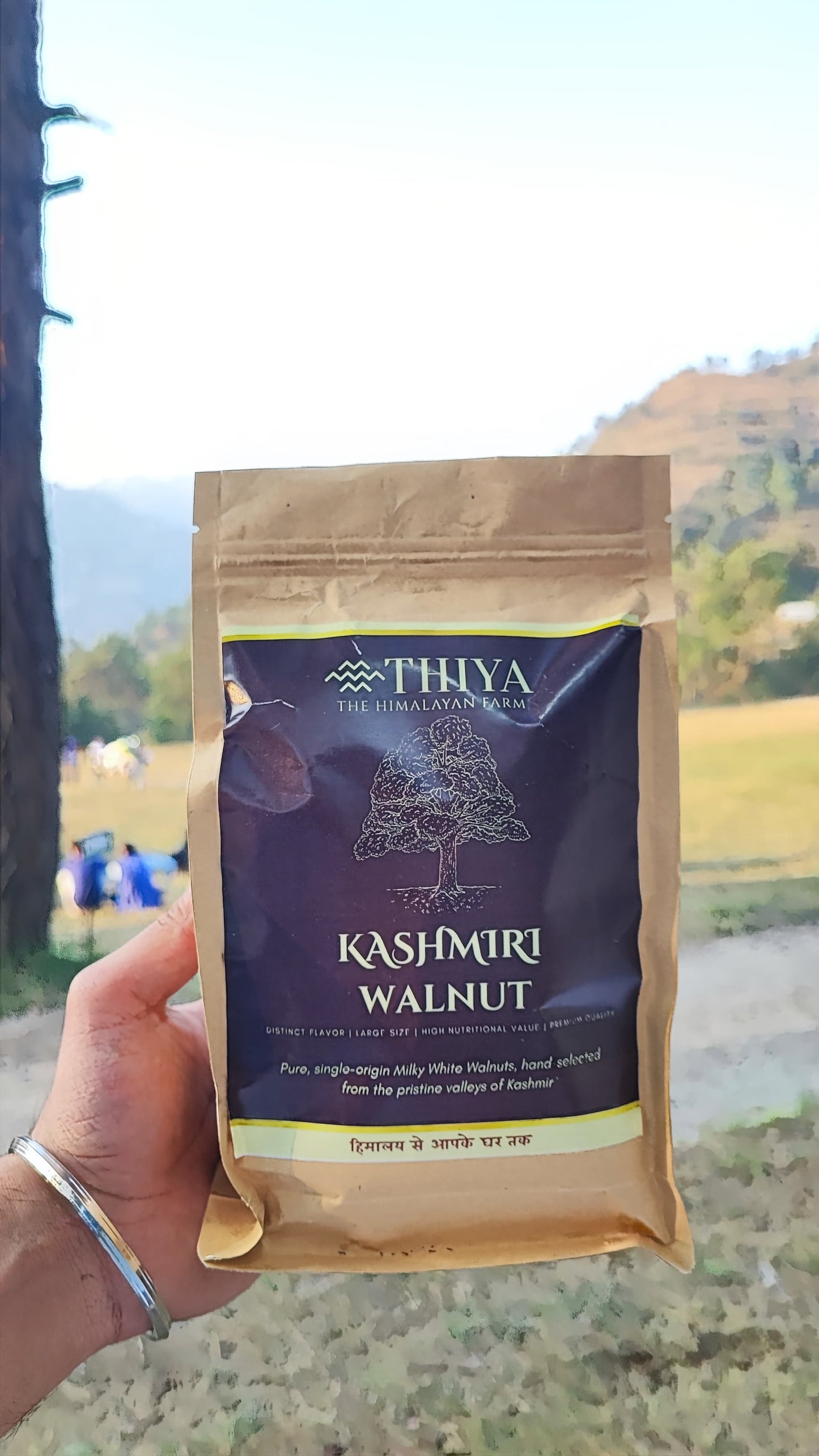 Kashmiri Milky Walnuts | Kashmir's Finest | Pure Milky Walnuts |