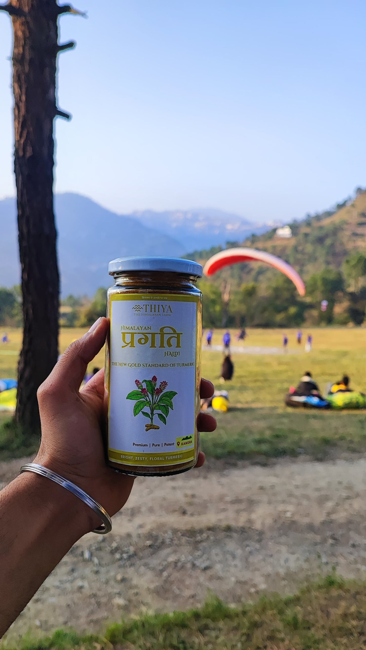 Himalayan Pragati Haldi | Kangra's Finest | Pragati Haldi | Premium Quality