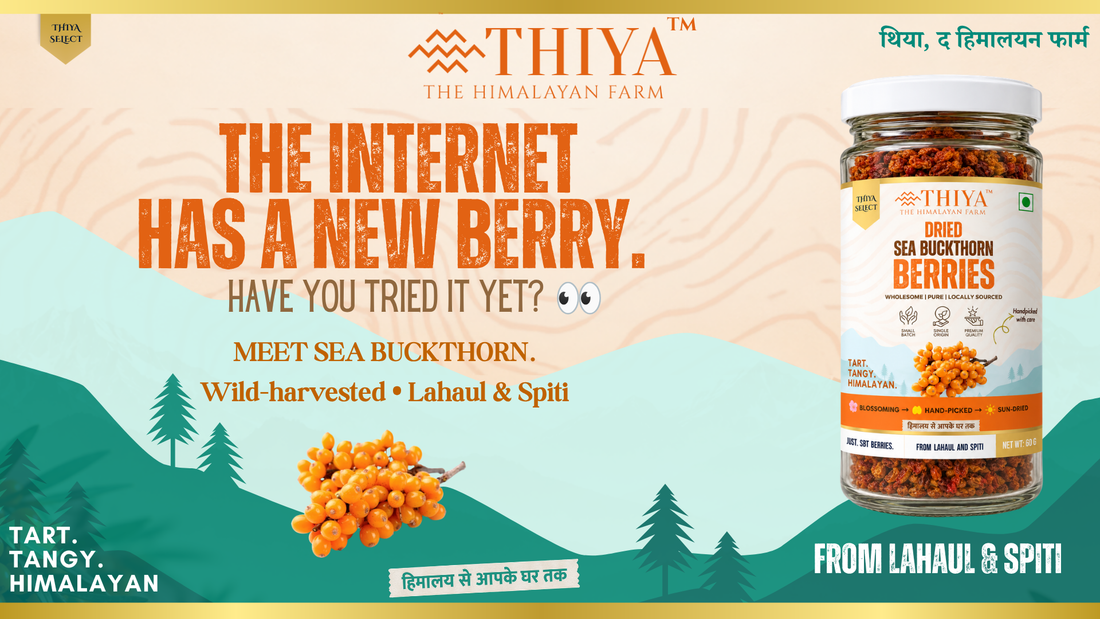 Sea Buckthorn: The Tart, Tangy Himalayan Berry
