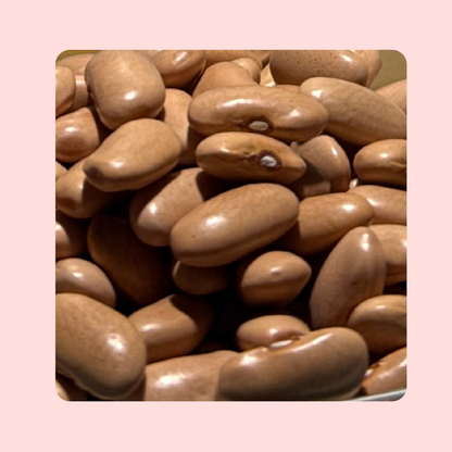 Thiya Munsyari Rajma | Flavorful & Protein-Rich | Himalayan Kidney Beans | Uttarakhand