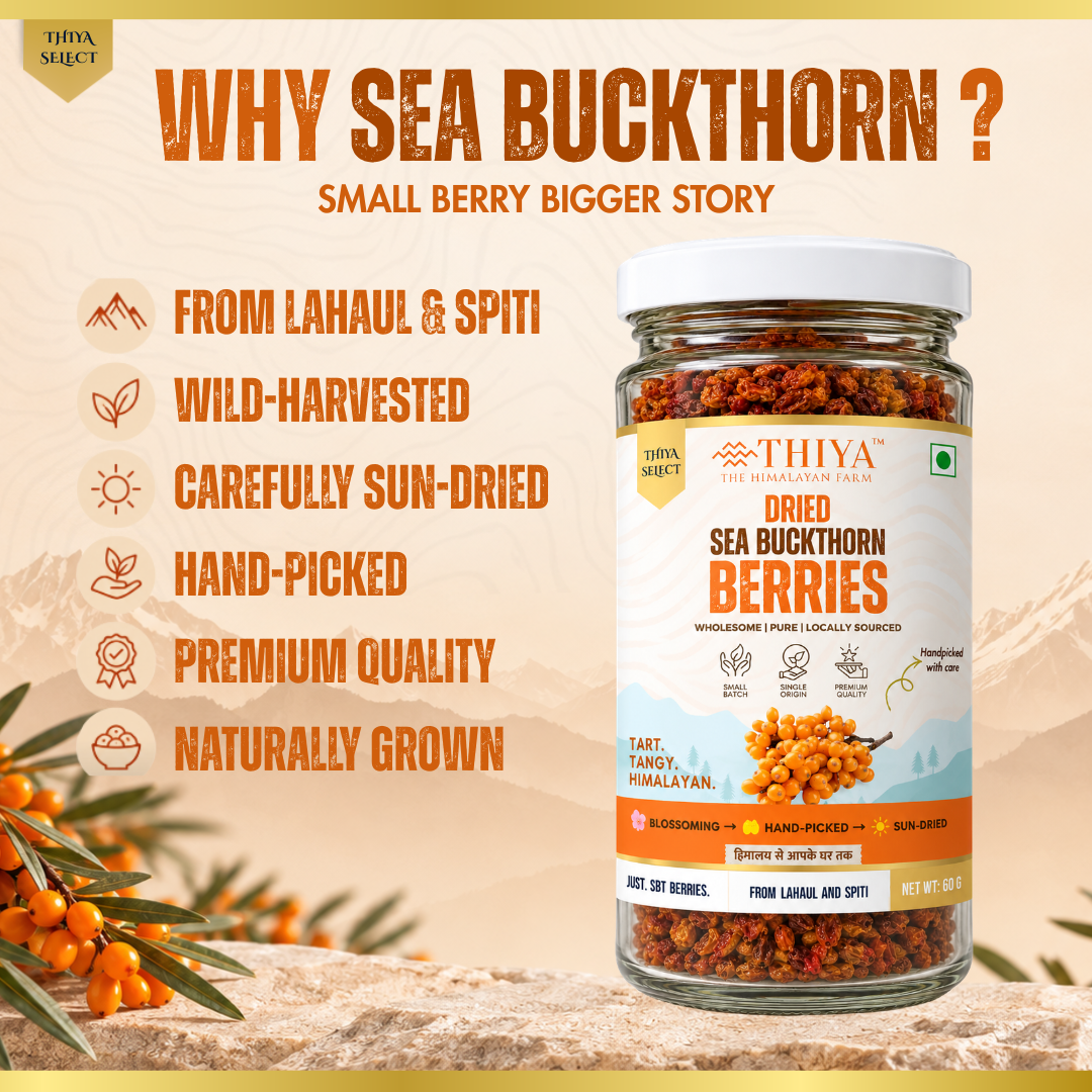 Thiya Premium Sea Buckthorn Berries (Dried Seabuckthorn) | Grown in Lahaul and Spiti | 60 Gm