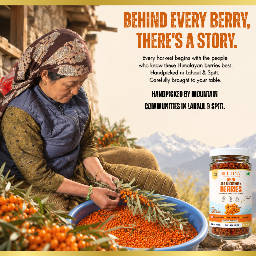 Thiya Premium Sea Buckthorn Berries (Dried Seabuckthorn) | Grown in Lahaul and Spiti | 60 Gm