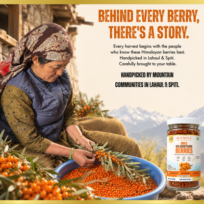 Thiya Premium Sea Buckthorn Berries (Dried Seabuckthorn) | Grown in Lahaul and Spiti | 60 Gm