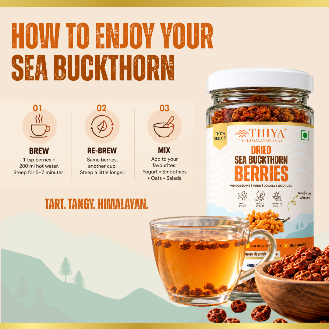 Thiya Premium Sea Buckthorn Berries (Dried Seabuckthorn) | Grown in Lahaul and Spiti | 60 Gm
