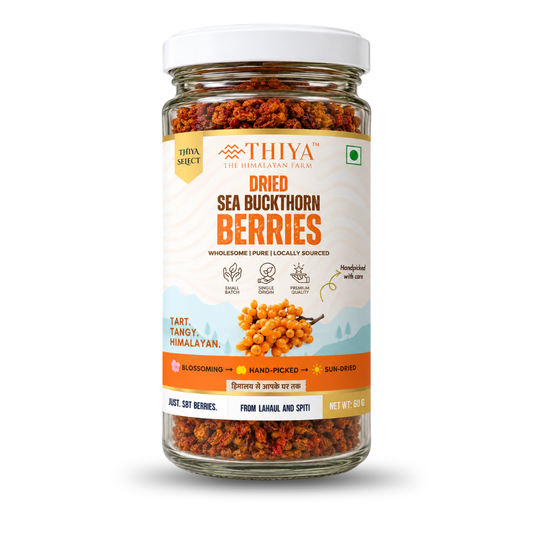 Thiya Premium Sea Buckthorn Berries (Dried Seabuckthorn) | Grown in Lahaul and Spiti | 60 Gm