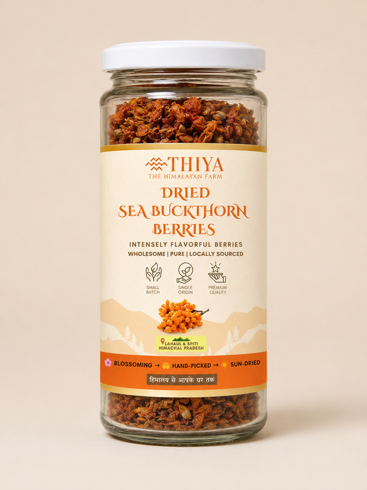 Thiya Premium Sea Buckthorn Berries (Dried Seabuckthorn) | Grown in Lahaul and Spiti | 60 Gm