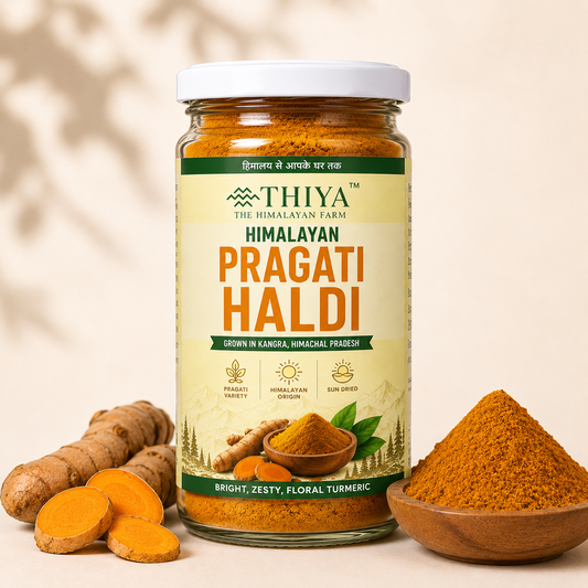 Himalayan Pragati Haldi | Kangra's Finest | Pragati Haldi | Premium Quality