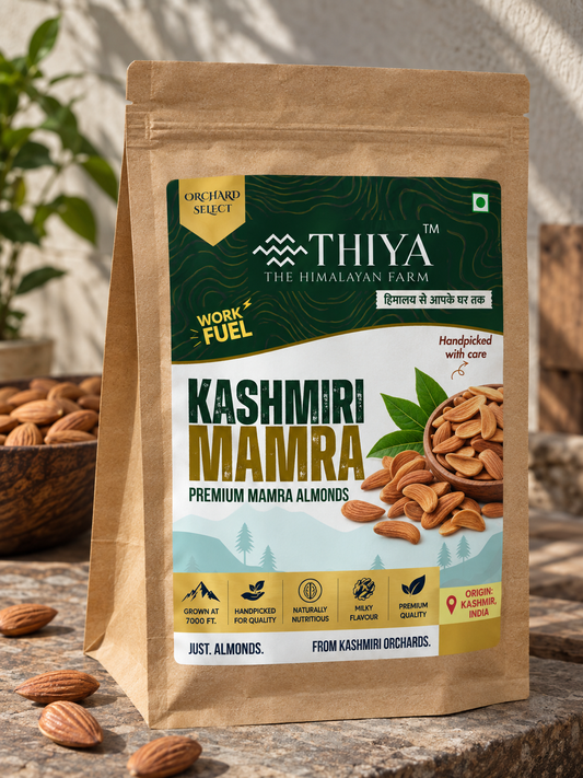 Kashmiri Mamra Almonds | Mamra Badam | 500g | Direct from Kashmir | Thiya