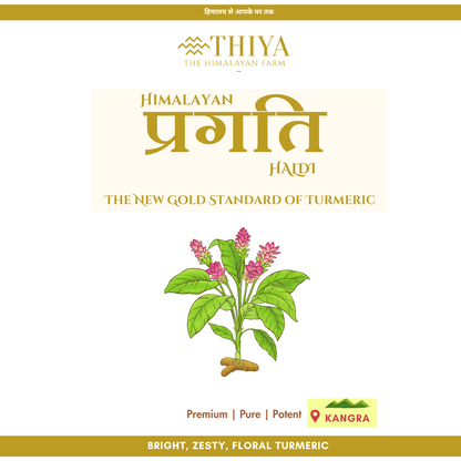 Himalayan Pragati Haldi | Kangra's Finest | 100% Pure Pragati Haldi | Premium Quality