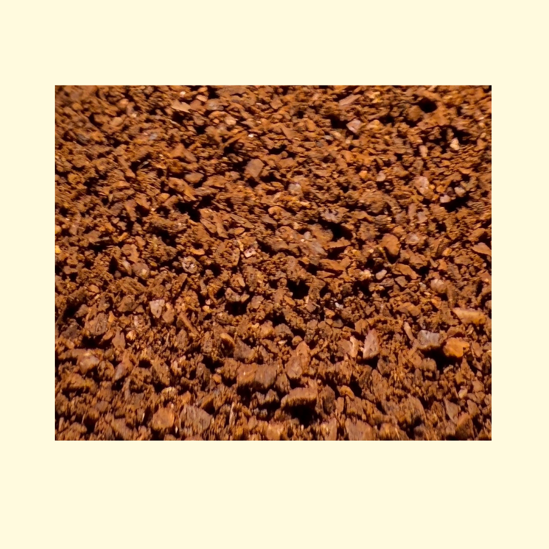 Thiya's Himalayan Coffee | Sikkim's Finest | Premium Arabica Coffee | Medium Grind