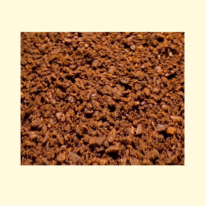 Thiya's Himalayan Coffee | Sikkim's Finest | Premium Arabica Coffee | Medium Grind