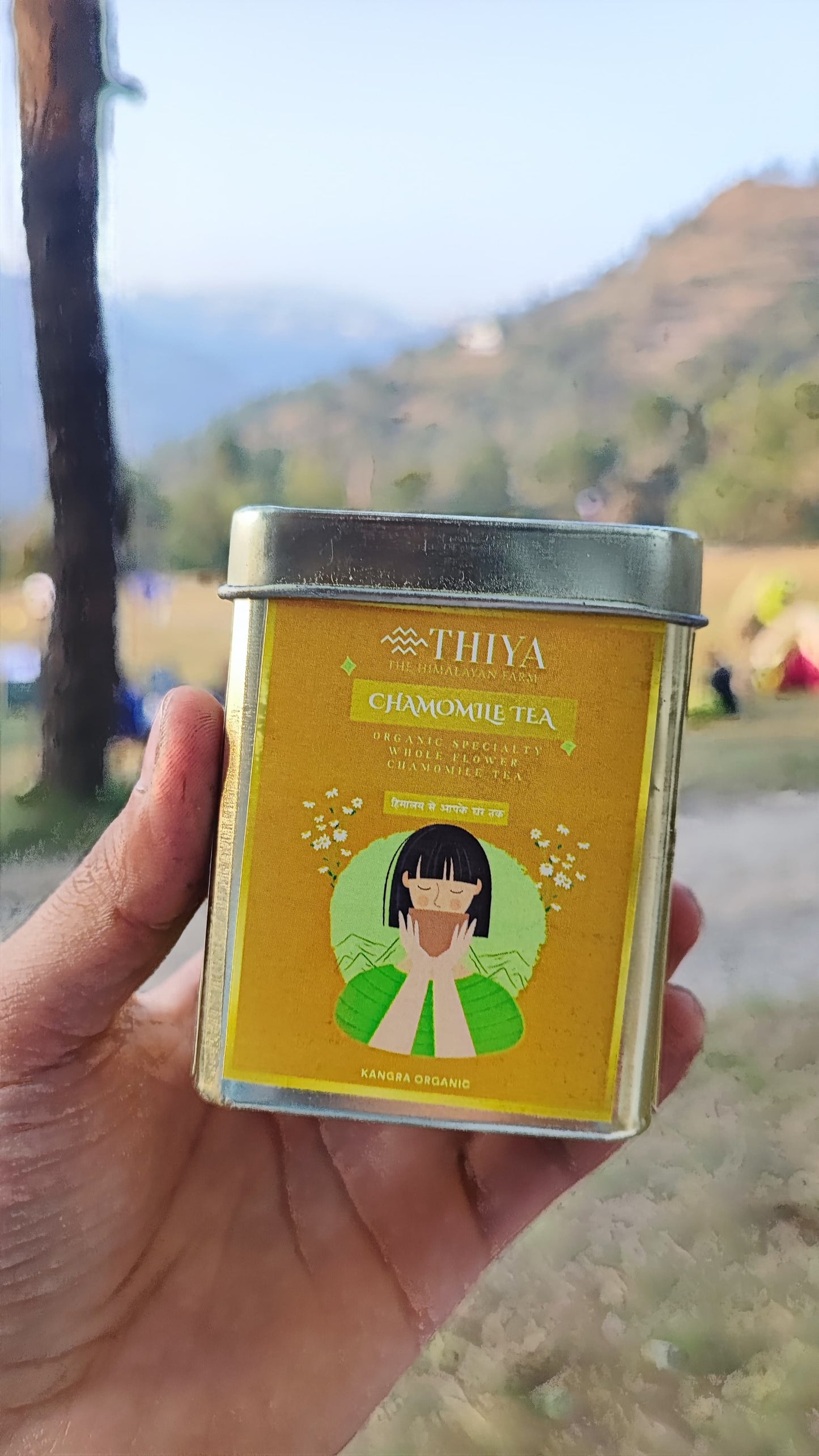 Kangra Chamomile Tea | Kangra's Finest | 100% Pure Chamomile Tea