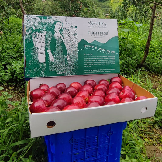 Farm Fresh Shimla Royal Delicious Apples | Grown at 8,000 Ft | Supreme Quality | Juicy & Sweet | 4–4.5 Kg